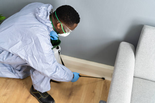 Best Emergency Pest Control  in Temesl Valley, CA